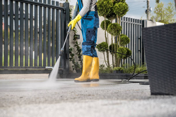 Best Pressure Washing Company Near Me  in West Ishpeng, MI
