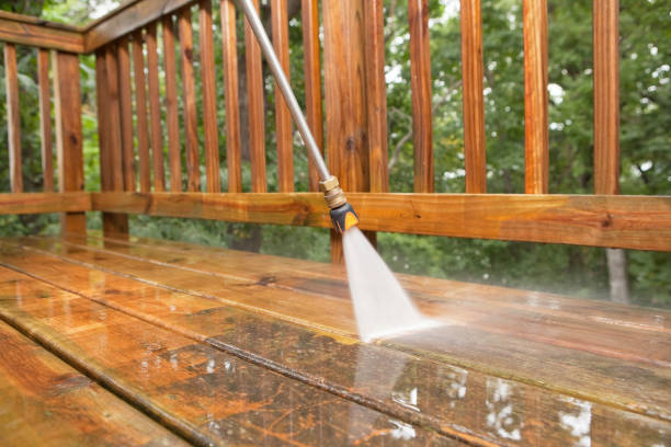 Best Roof Pressure Washing  in West Ishpeng, MI